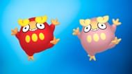 Regular and shiny Darumaka (Image via TPC)